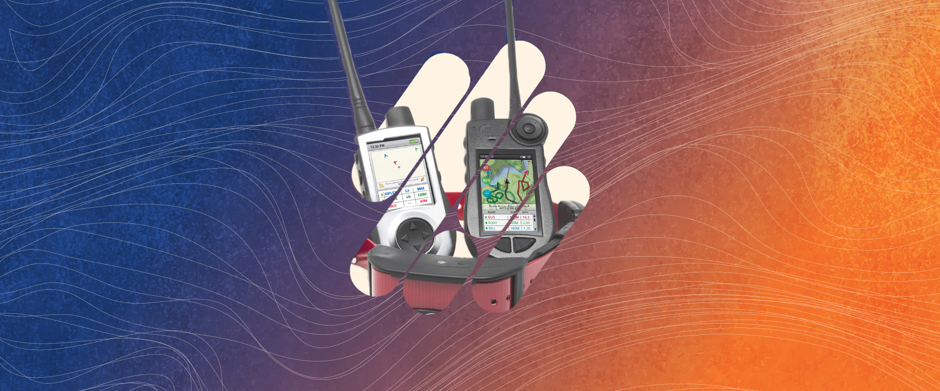 SPORTDOG 2