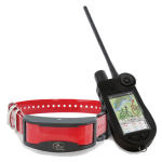 TEK 2.0  Palmare + Collare GPS