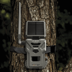 Spypoint Flex E-36 Solar - immagine 2