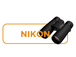 nikon