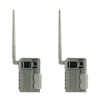 SpyPoint LM2 coppia