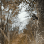 Supporto a vite da albero per trail camera - immagine 3