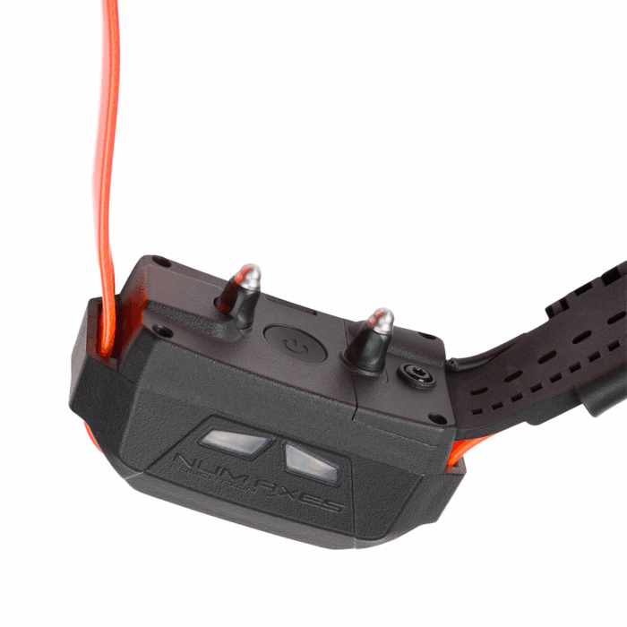 CANICOM GPS MINI CON ADDESTRAMENTO- COLLARE AGGIUNTIVO - immagine 2
